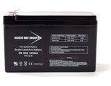 Sealed Lead Acid Battery, 12V 9AH, .250