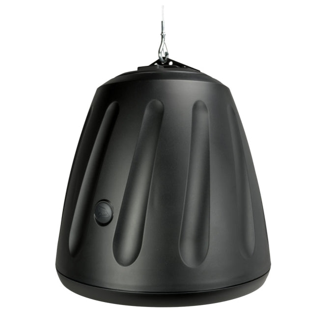 5.25" 2-way Hanging Speaker in Black