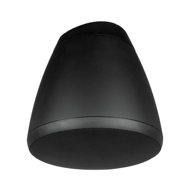 8" Hanging Speaker in Black