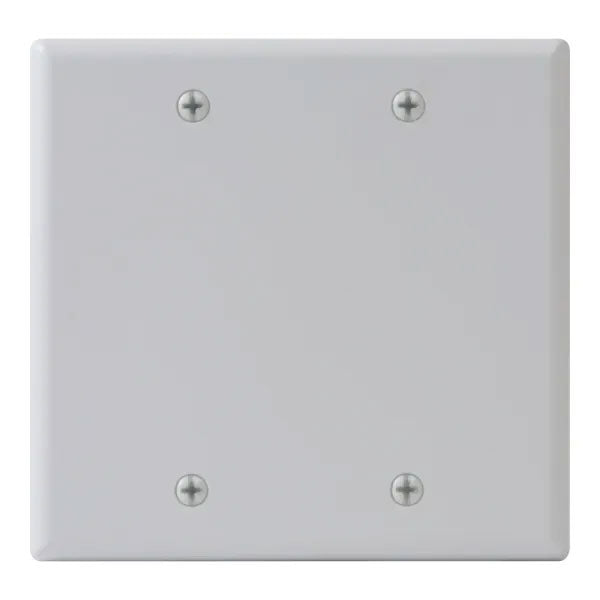 Blank Dual Gang Faceplate, White