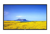 Security Monitor, 32", HDMI/VGA, Built-in Speakers - We-Supply